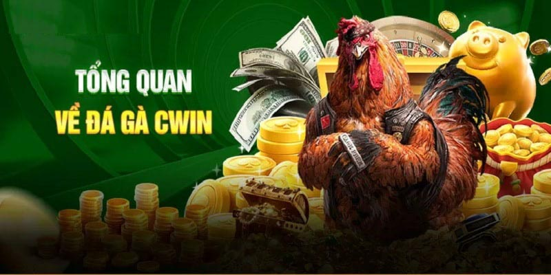 Lợi ích khi tham gia Đá Gà Cwin999